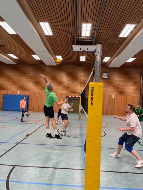 Volleyball Bild 2
