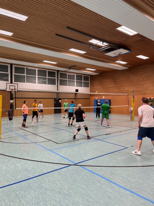 Volleyball Bild 3